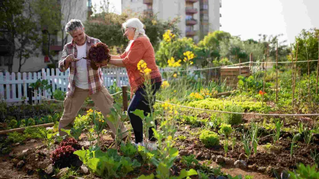 Importance Of Kitchen Garden