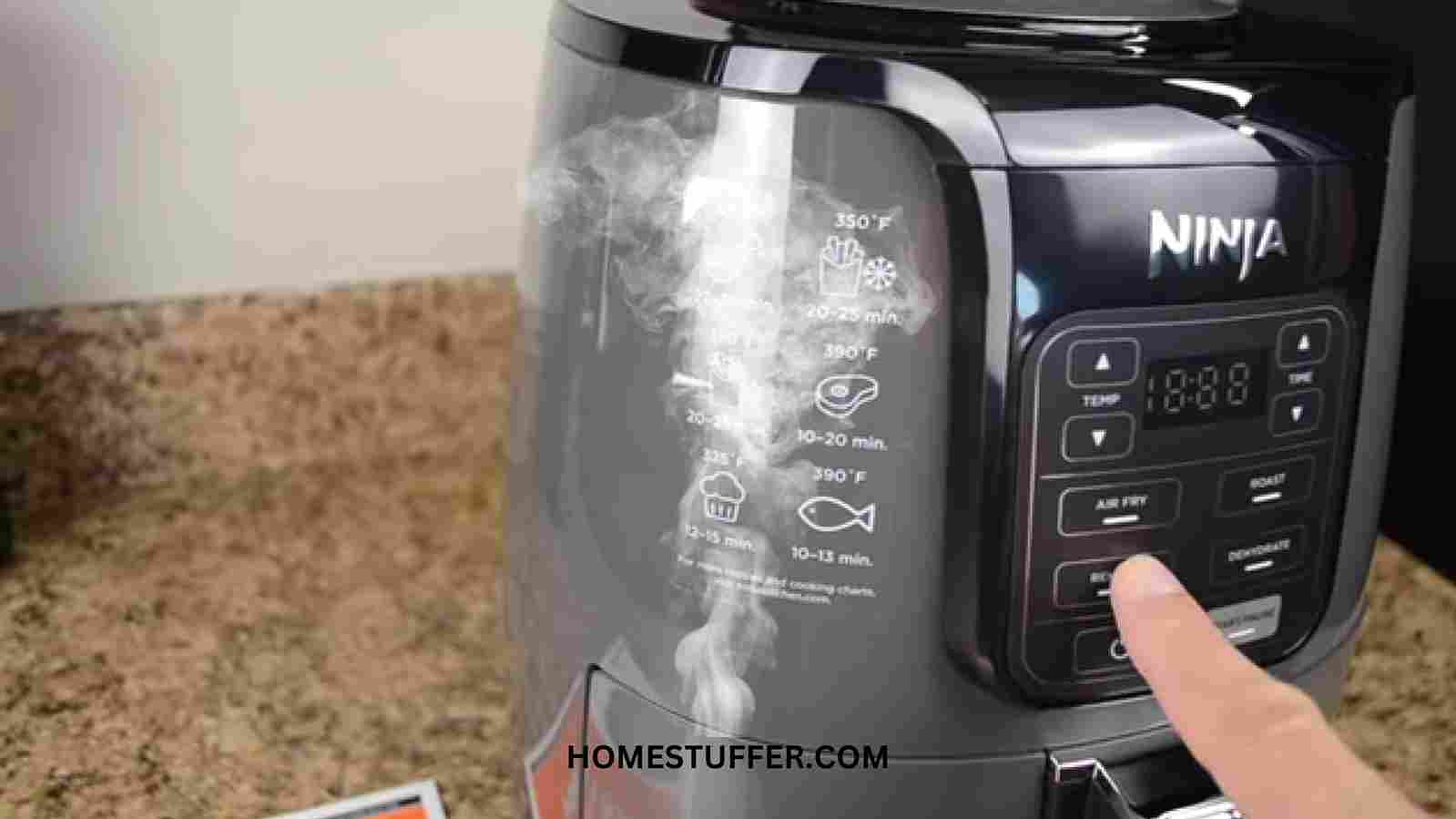 Ninja Air Fryer Keeps Smoking? Here’s Why + Fix