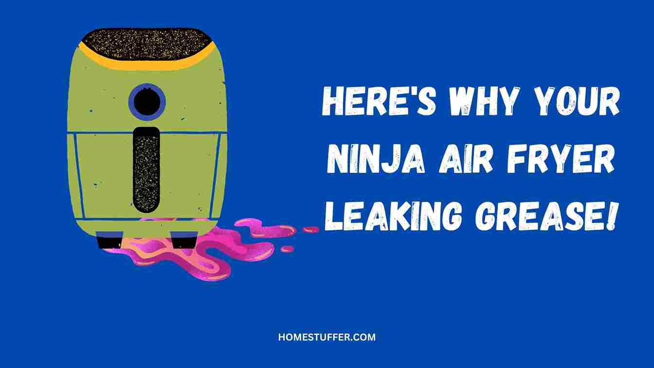 Ninja Air Fryer Leaking Grease? (Solved)