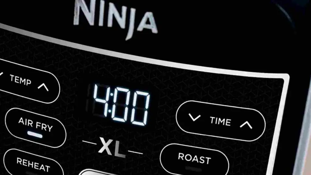 When To Use Roast Setting On Ninja Air Fryer?