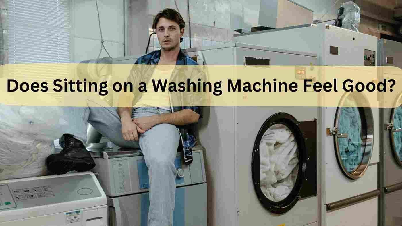 Does Sitting on a Washing Machine Feel Good? (Interesting Facts)