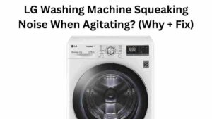 LG Washing Machine Squeaking Noise When Agitating? (Why + Fix)