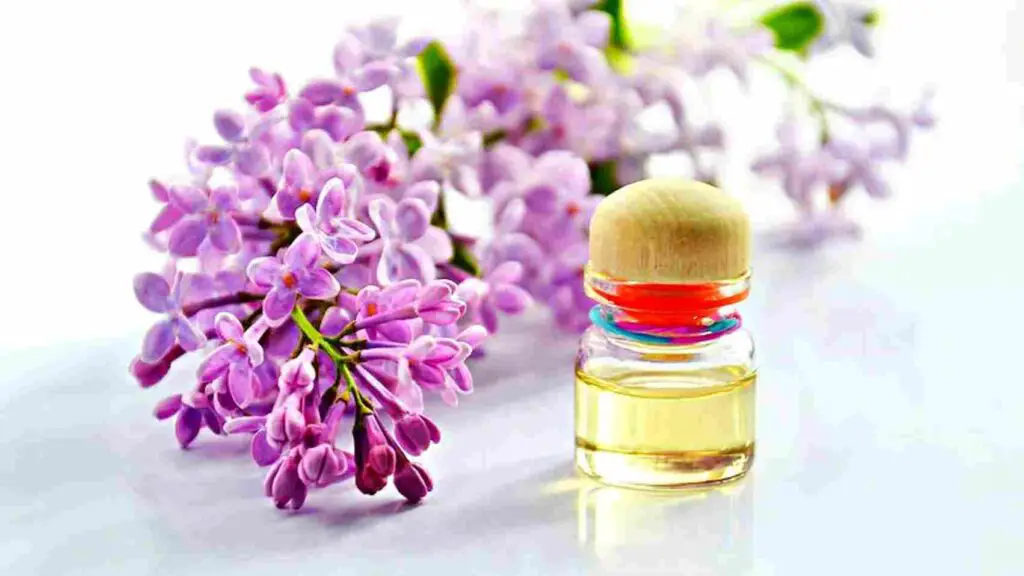 Can You Put Lavender Oil in Washing Machine?