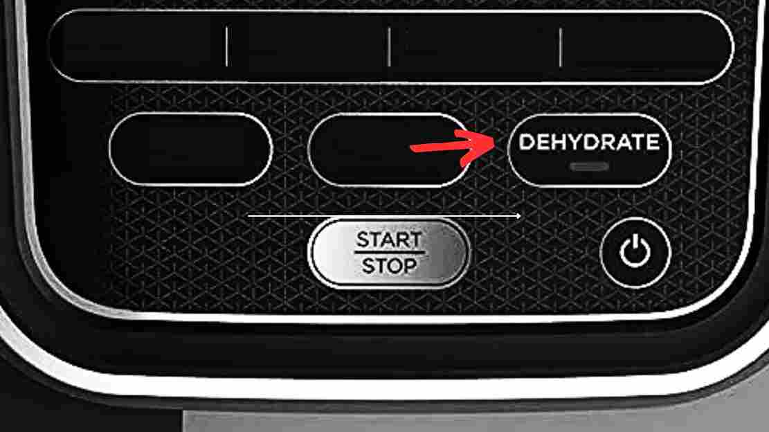 What Setting to Use on Ninja Air Fryer? (Ultimate Guide)